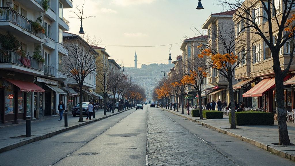 süreyya operası, bahariye caddesi