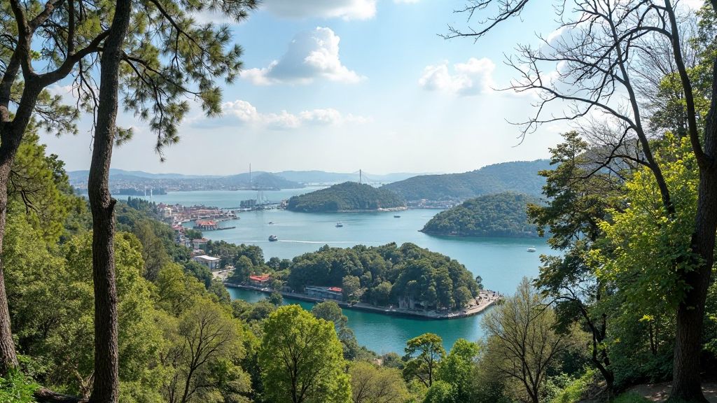 istanbul'un doğal güzellikleri atatürk arberatoryum